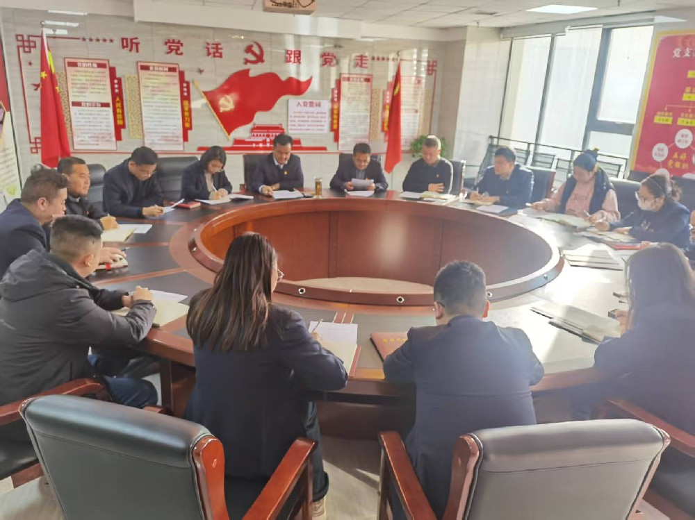 經(jīng)發(fā)公司黨支部召開2025年度組織生活會暨民主評議黨員大會